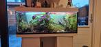 Juwel aquarium 300 liter, Dieren en Toebehoren, Ophalen, Gebruikt, Gevuld zoetwateraquarium