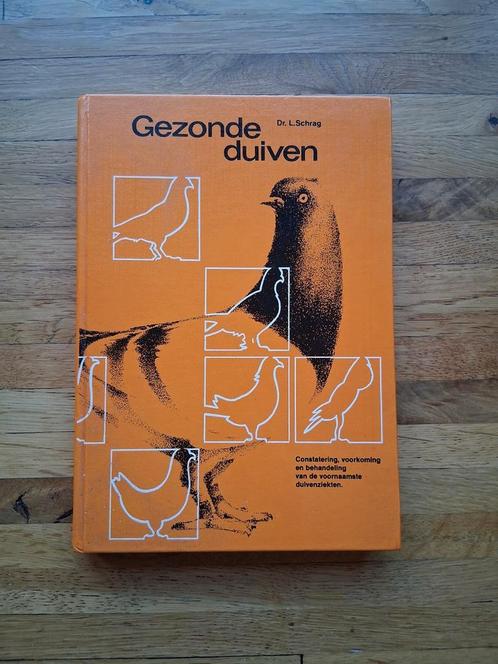 Gezonde duiven zeer informatief boek voor de duivenhouder, Boeken, Dieren en Huisdieren, Zo goed als nieuw, Vogels, Ophalen of Verzenden