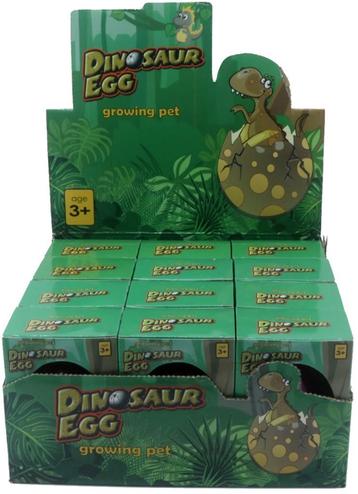 PARTIJ GROWING EGG IN DISPLAY beschikbaar voor biedingen