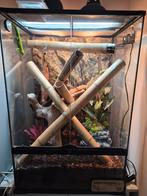 Terrarium 45x60x90, Ophalen