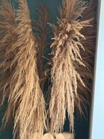 Decoratieve pluimen, Ophalen of Verzenden, Zo goed als nieuw