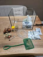 Vissenkom met toebehoren, Dieren en Toebehoren, Vissen | Aquaria en Toebehoren, Ophalen, Zo goed als nieuw, Leeg aquarium