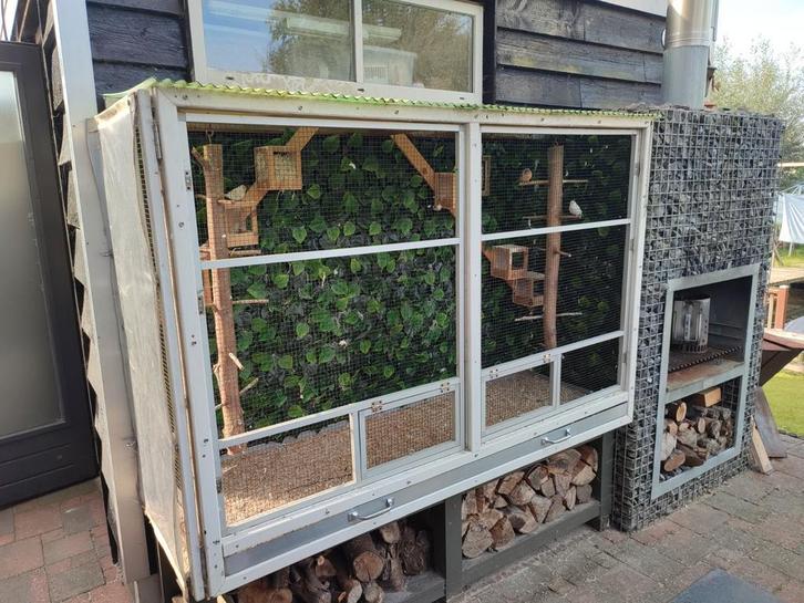 Volière en broedhokken, compleet, Dieren en Toebehoren, Vogels | Hokken en Kooien, Gebruikt, Broedkooi of Kweekkooi, Hout, Ophalen