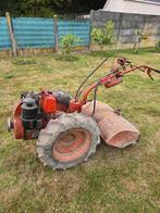 Tuinfrees Nibbi, Ophalen of Verzenden