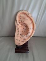 Acupunctuur oor, Ophalen of Verzenden, Gelezen, Sociale wetenschap