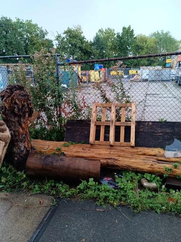 Houten Stammen, Aders, Sokkels - Doe een Bod! beschikbaar voor biedingen