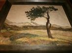 jpg van Os 1869 1944 mooi olieverfschilderij izgs, Antiek en Kunst, Ophalen
