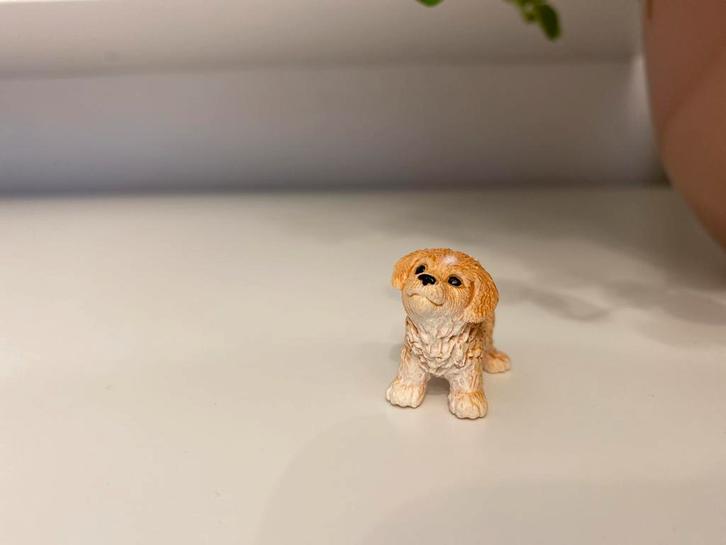 Schleich Shih tzu Pup (10), Verzamelen, Dierenverzamelingen, Zo goed als nieuw, Beeldje of Figuurtje, Hond of Kat, Ophalen of Verzenden