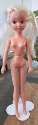 Fleur barbie doll, Verzamelen, Ophalen of Verzenden, Fashion Doll