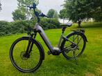 Elektrische Fiets (km 196), Overige merken, Ophalen of Verzenden, Zo goed als nieuw, Minder dan 47 cm
