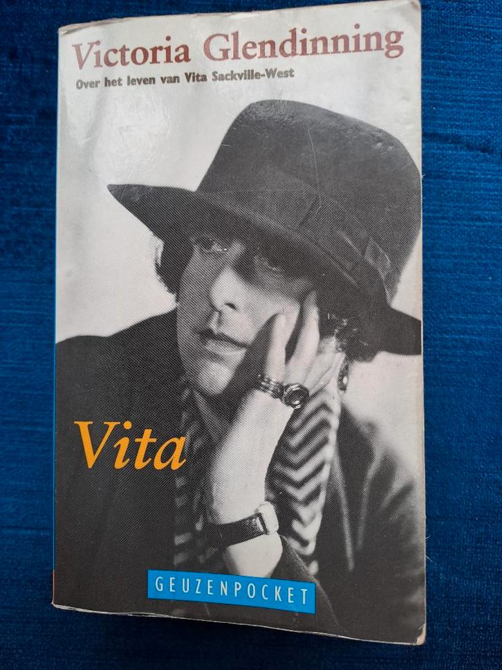 Glendinning  Vita, Boeken, Romans, Gelezen, Ophalen of Verzenden