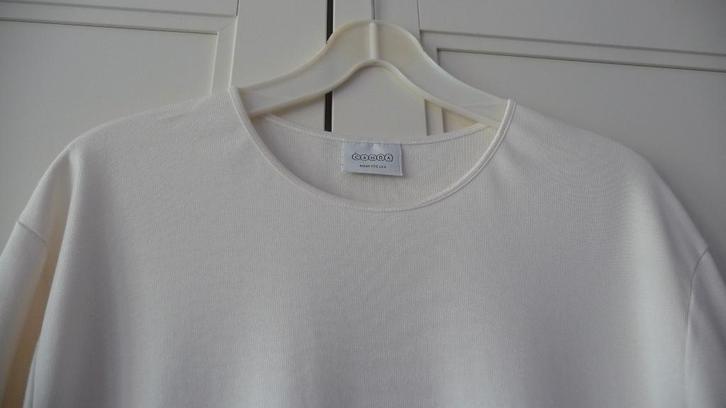 T-shirt - 46, Kleding | Dames, T-shirts, Zo goed als nieuw, Maat 46/48 (XL) of groter, Beige, Korte mouw, Ophalen of Verzenden