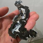 Gefossileerd koraal, zeer uniek, Ophalen of Verzenden