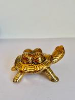 Prachtige bronzen schildpad Tortuga, kunst en Design, Ophalen of Verzenden