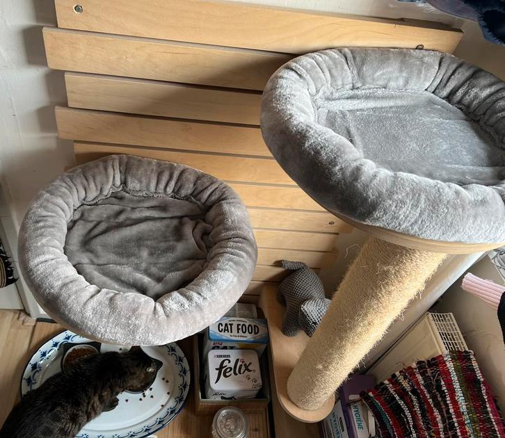 Katten krab paal & ligbedden, Dieren en Toebehoren, Krabmeubelen, Zo goed als nieuw, Krabmeubel-onderdelen, Ophalen