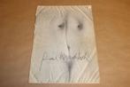 Paul Wunderlich - Gouaches, tekeningen, lithos, beeldhouwwer, Ophalen of Verzenden, Gelezen, Schilder- en Tekenkunst
