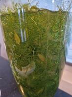 Hoornblad, Ophalen, Nieuw, Plant(en), Steen of Hout