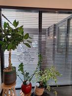 Zwart houten jaloezieën 50mm. Formaat 195 x 150cm, Ophalen, Zo goed als nieuw, Zwart, 150 tot 200 cm