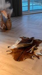 Geiten huid, hoorns, Dieren en Toebehoren, Januari, Meerdere dieren