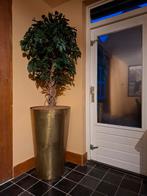 Grote gouden bloempot, Ophalen, Gebruikt, 40 cm of meer, Rond