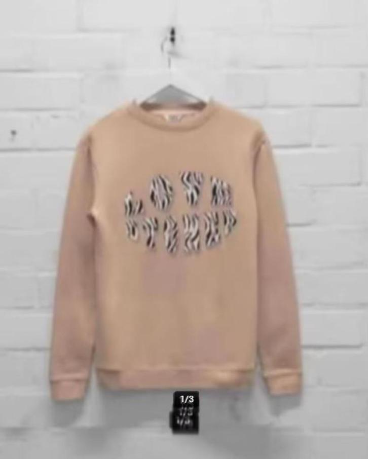 YZLS - Yeez Louise - Prachtige hoodie maat L - Nieuw €80, Kleding | Dames, Truien en Vesten, Nieuw, Maat 42/44 (L), Roze, Ophalen of Verzenden