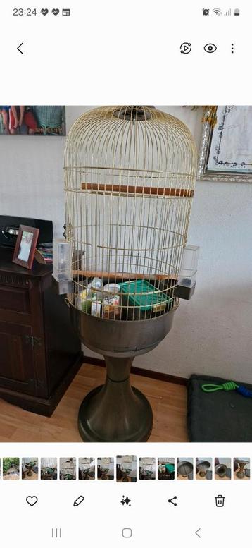 Vogelkooi ,gebruikt beschikbaar voor biedingen