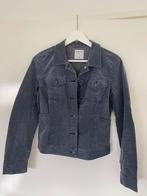 Sandwich - antraciet/ grijs jasje, Kleding | Dames, Ophalen of Verzenden, Zo goed als nieuw, Maat 34 (XS) of kleiner, Grijs