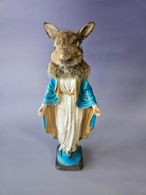Taxidermy heilige haas, Verzamelen, Dierenverzamelingen, Nieuw, Opgezet dier, Wild dier, Ophalen of Verzenden