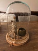 Glazen stolp met decoratie, Huis en Inrichting, Woonaccessoires | Overige, Ophalen, Zo goed als nieuw
