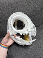 Fursuit skull cat head base 3D printed, Ophalen of Verzenden, Zo goed als nieuw