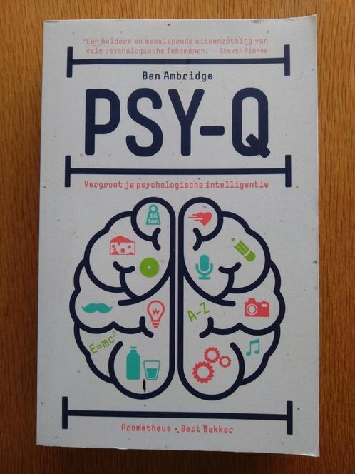 Ben Ambridge - Psy-Q, Boeken, Psychologie, Zo goed als nieuw, Ophalen of Verzenden