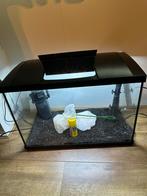 Te koop Superfish aquarium 60x30x30 met ledverlichting, Dieren en Toebehoren, Vissen | Aquaria en Toebehoren, Ophalen, Zo goed als nieuw
