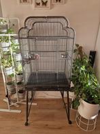 Papegaaienkooi / vogelkooi Strong-Villa Andrea. Verrijdbaar, Dieren en Toebehoren, Vogels | Hokken en Kooien, Ophalen, Gebruikt