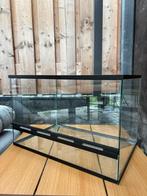 Terrarium 60x40x40, Ophalen, Gebruikt