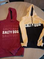 2 Salty Dog hoodies maat 158/164, Kinderen en Baby's, Kinderkleding | Maat 158, Ophalen of Verzenden