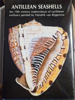 Antilliaanse Schelpen: Van Rijgersma's Waterverf, Ophalen of Verzenden, Hendrik van Rijgersma