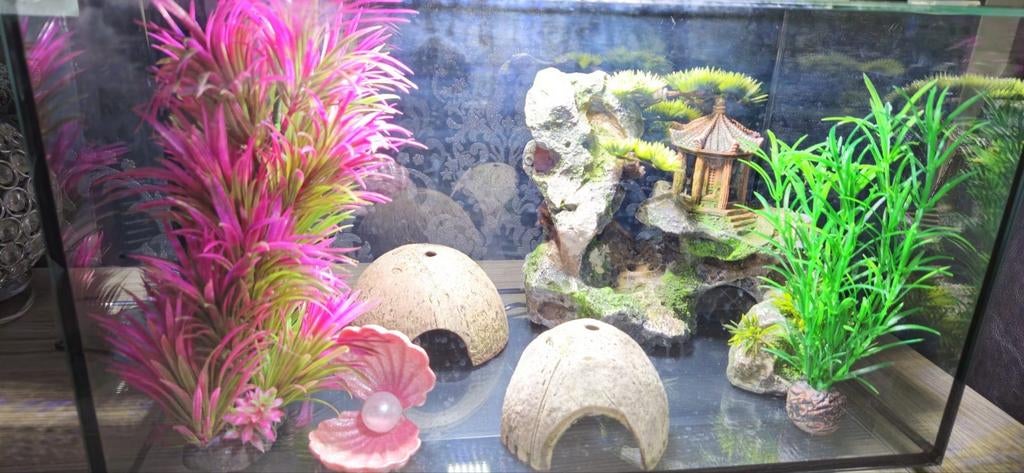 Superfish Quadro 40 Pro aquarium zwart (28 liter), Ophalen of Verzenden, Zo goed als nieuw, Overige typen