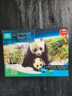 Planet Earth Panda Puzzel - 1000 Stukjes, Ophalen of Verzenden, 500 t/m 1500 stukjes, Zo goed als nieuw, Legpuzzel