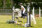 Bixie Topper! Welsh A - kinderpony, Dieren en Toebehoren, Pony's, Ruin, Recreatiepony