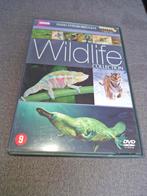 Wildlife collection - 7 dvd box, Cd's en Dvd's, Dvd's | Documentaire en Educatief, Ophalen of Verzenden, Zo goed als nieuw