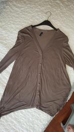 DUN VEST MAAT L   BRUIN, Maat 38/40 (M), Bruin, Ophalen of Verzenden, Onbekend