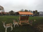 douglas hooiruif XXL alpaca hert ree schaap (evt in 5 maten