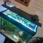 Aquarium te koop compleet van juwel, Ophalen, Gebruikt, Gevuld zoetwateraquarium