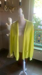 frapp lime groen vestje 42, Kleding | Dames, Ophalen of Verzenden, Zo goed als nieuw, Maat 42/44 (L), Groen