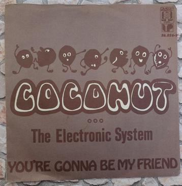 the electronic system - coconut beschikbaar voor biedingen