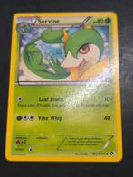 Servine RC2/RC25 Legendary Treasure Reverse Holo, Ophalen of Verzenden, Nieuw, Losse kaart, Foil
