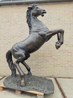 BRONZEN GROOT STEIGEREND PAARD 2,25 M H ZEER LAGE PRIJS!!!, Ophalen of Verzenden, Zo goed als nieuw, Overige materialen, Dierenbeeld
