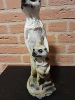 Stokstaartje, Ophalen of Verzenden, Zo goed als nieuw, Dier