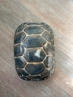 Papier-maché Reuzenschildpad - Decoratief, Huis en Inrichting, Woonaccessoires | Overige, Ophalen of Verzenden, Gebruikt