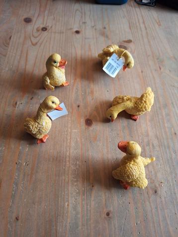 Leuke set van 5 eendenbeeldjes beschikbaar voor biedingen